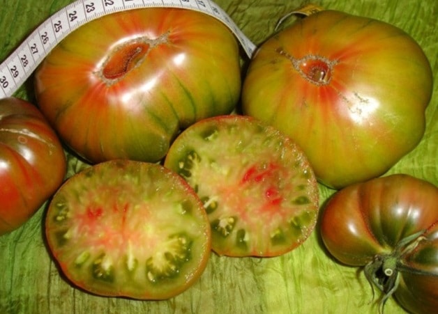 5 Colorful Tomatoes - Ananas Noire Tomato (Black Pineapple Tomato)