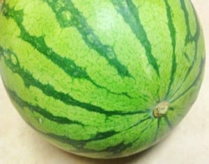 Front view of a huge watermelon - grilled watermelon salad