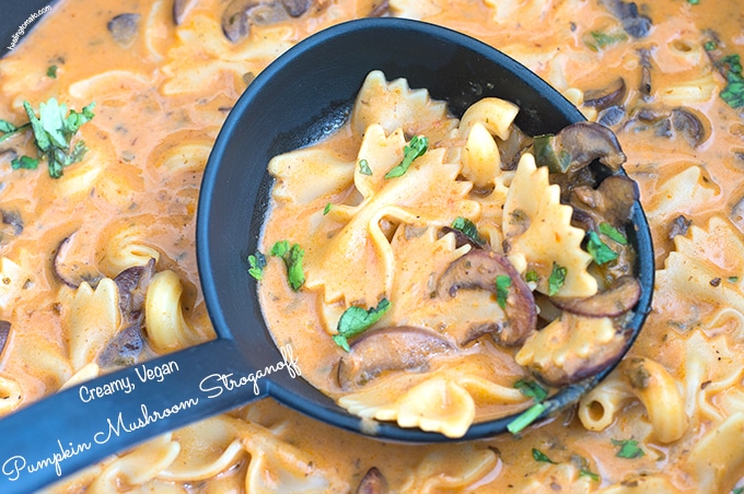 Overhead view of a black ladel filled with Creamy Mushroom Stroganoff with Pumpkin and pasta. Ladel is on top of the rest of the stroganoff in a pan