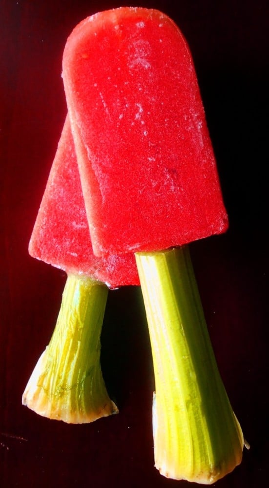 Overhead view of bloody mary popsicles with celery 