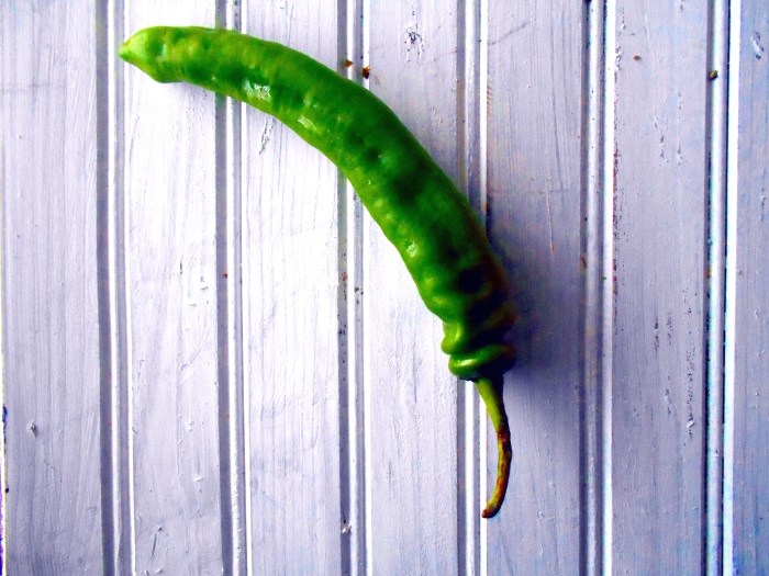 Overhead view of a shishito pepper