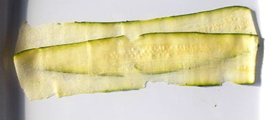 Two zucchini strips lined side by side for zucchini rolls