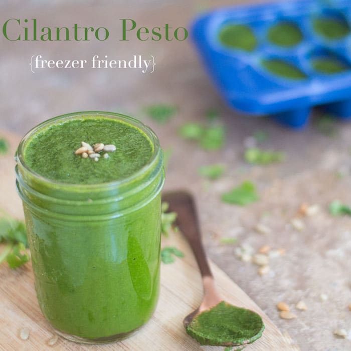 Front view of Cilantro Pesto in 8 oz Mason Jar with a brass spoon on the side that was dipped in the Mason Jar. Background of Ice Cube Tray filled with pesto and cilantro + Sunflower seeds scattered all around.