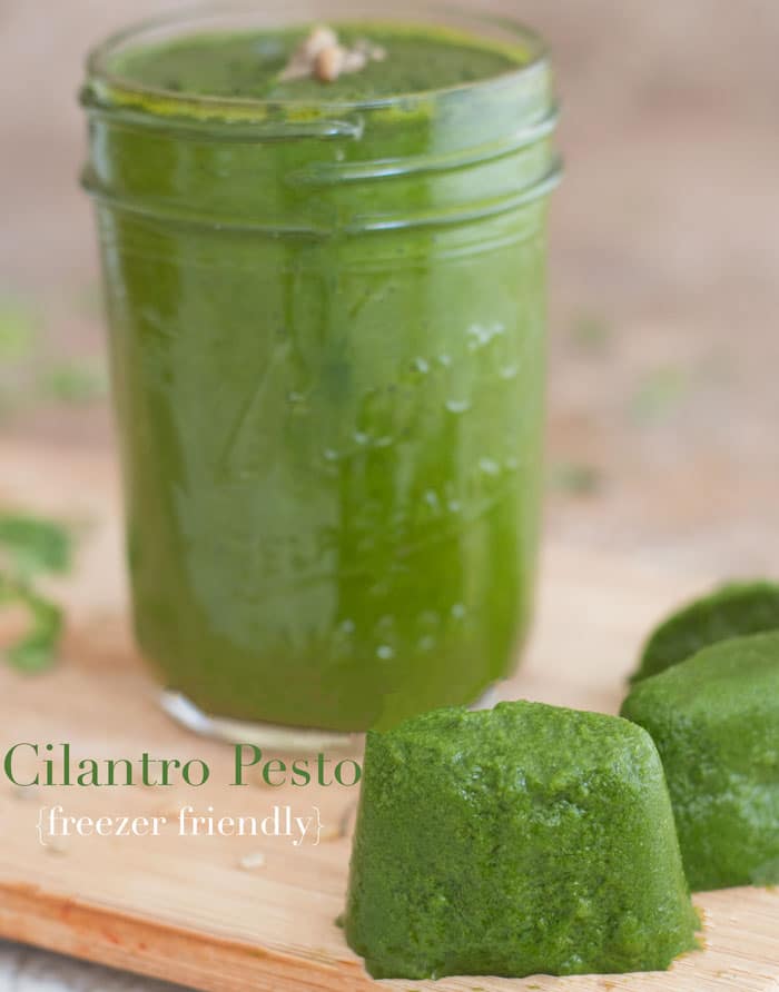 Front view of 3 Vegan Cilantro Pesto ice cubes and Pesto in an 8 oz Mason jar in the background with leaves of cilantro scattered throughout the photo