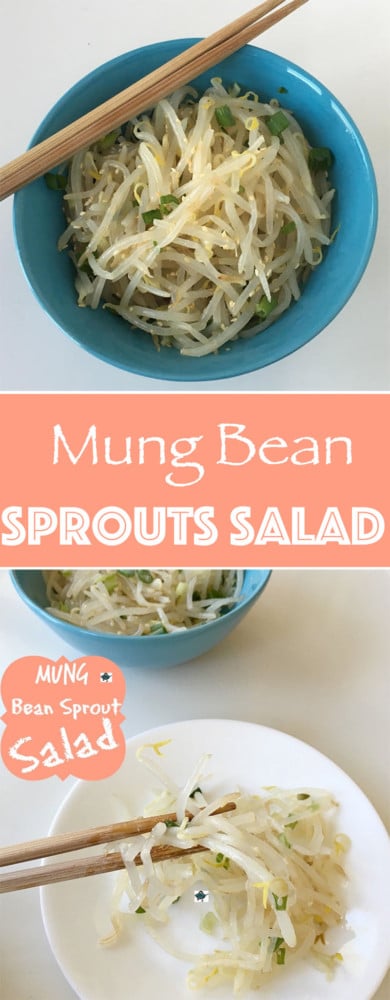 Mung Bean Sprouts Salad - Vegan, Korean Side dish that is easy to make. Goes well with any meal. A very simple recipe to make that comes together in 15min. - By Nut Free Wok