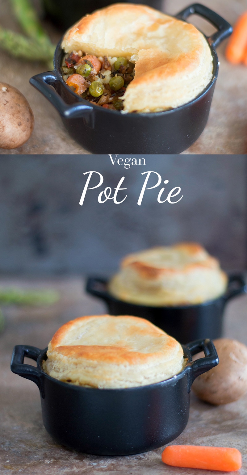 Quick and easy vegan pot pie recipe. Made with all fresh vegetables and uses almond milk instead of butter for basting. Make for perfect vegan comfort food