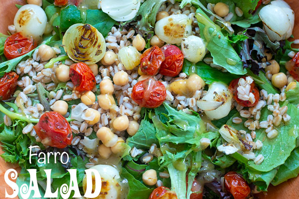 Closeup view of farro salad made with grilled pearl onions and grilled cherry tomatoes. chickpeas and baby kale also visible