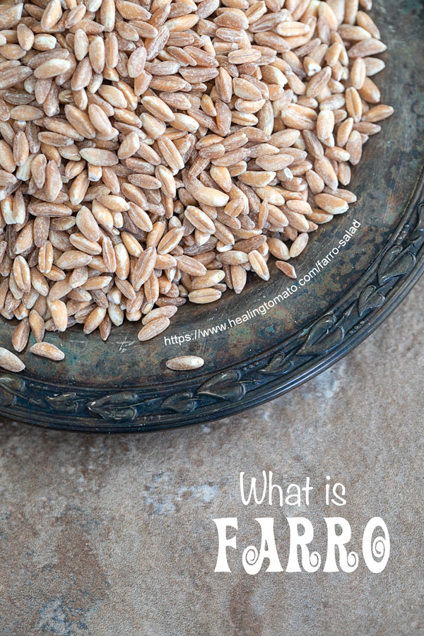 Partial view of a dark grey plate filled with farro grain - farro salad