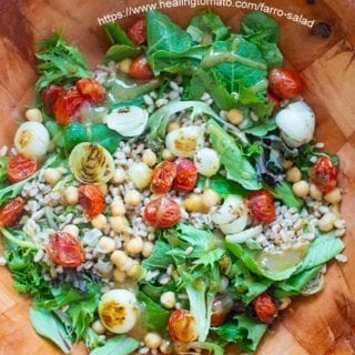 Overhead view of farro salad made with grilled pearl onions and grilled cherry tomatoes. chickpeas and baby kale also visible