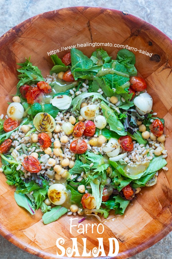 Overhead view of farro salad made with grilled pearl onions and grilled cherry tomatoes. chickpeas and baby kale also visible