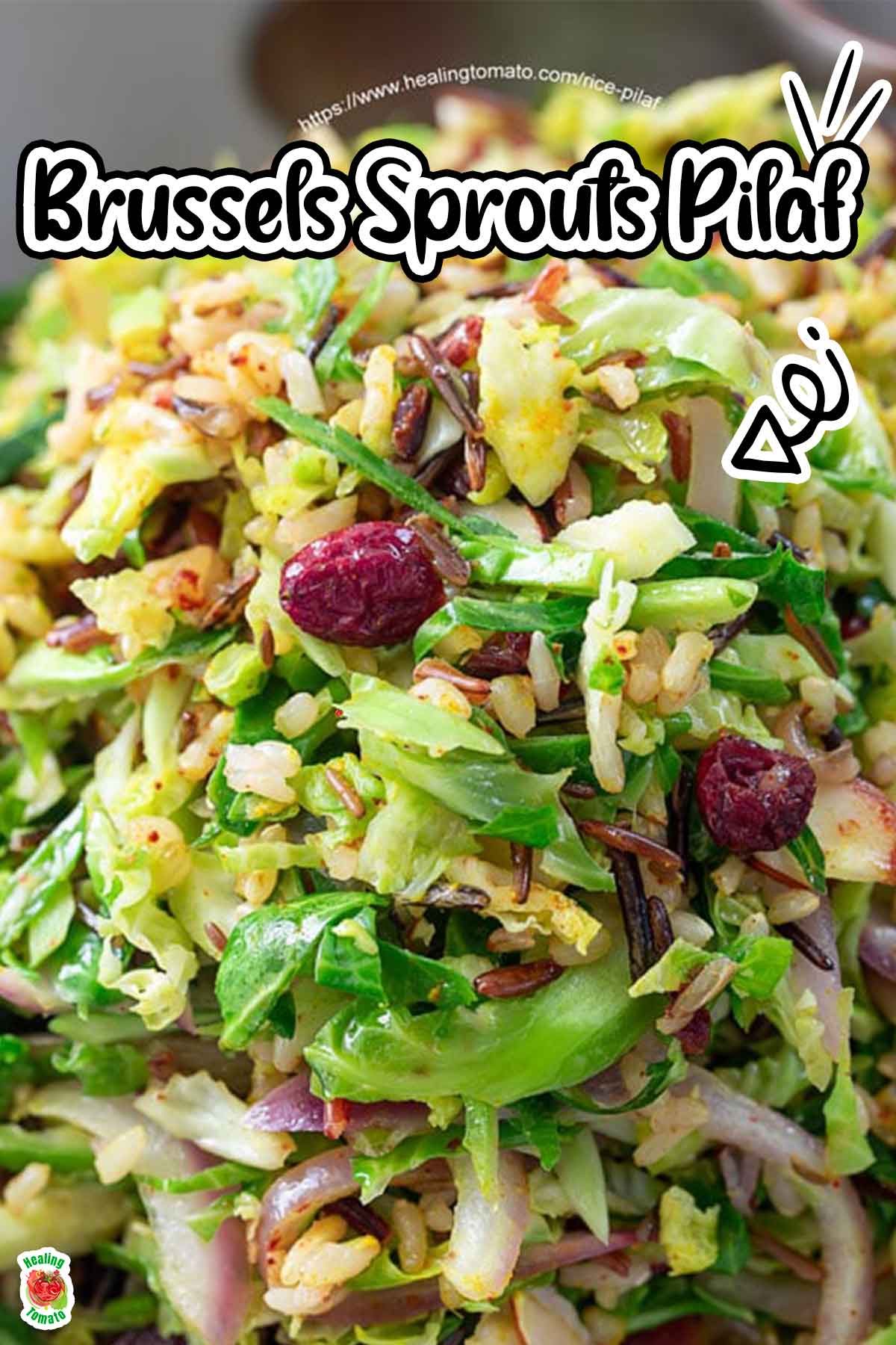 Closeup view of the Brussels sprouts pilaf with cranberries, wild rice and shredded sprouts