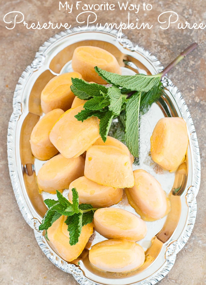 Overhead View of Pumpkin Puree Ice Cubes on a Silver Tray with Mint Leaves for Garnish - How to Preserve Pumpkin Puree