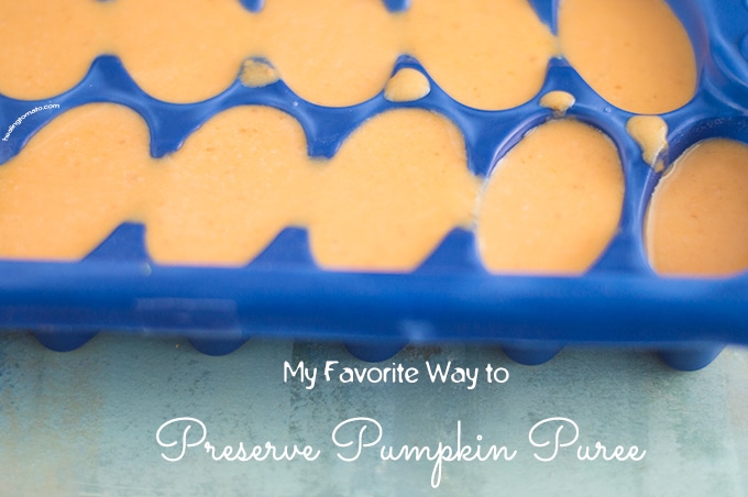 Angle View of Pumpkin Puree Liquid in Blue Ice Cube Tray - How to Preserve Pumpkin Puree