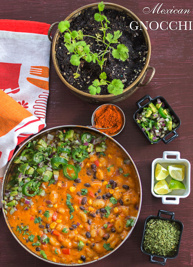 Overhead View of a Pan at the bottom left filled with dark brown gravy and gnocchi. On the inside left of the pan, there is a avocado salaad arranged in a half circle. Photo also contains a Cilantro plant, and small bowls with lime, avocado and dried spices