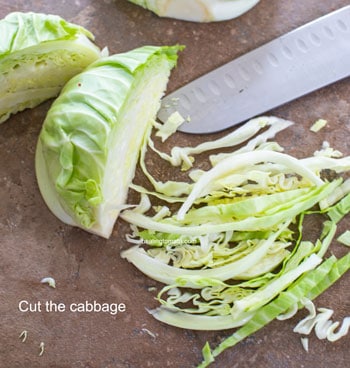 Thinly cut strips of cabbage - Cabbage Curry