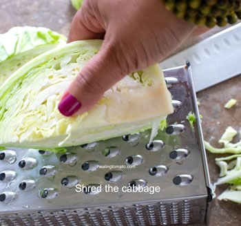 The author using a 4 sided shredded to shred a quartered cabbage - Cabbage Curry