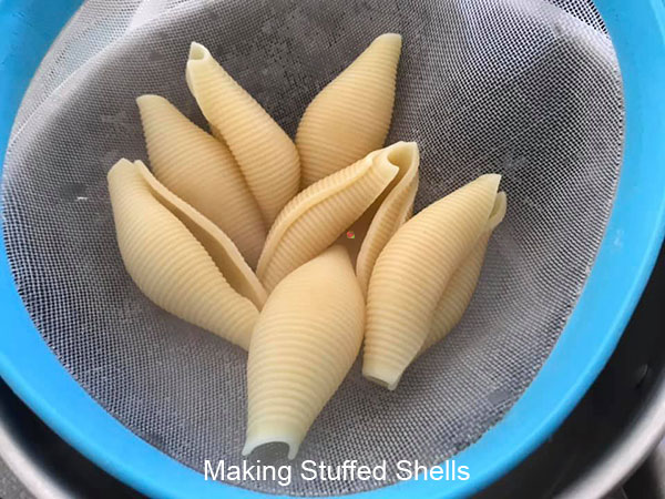 cooked pasta shells