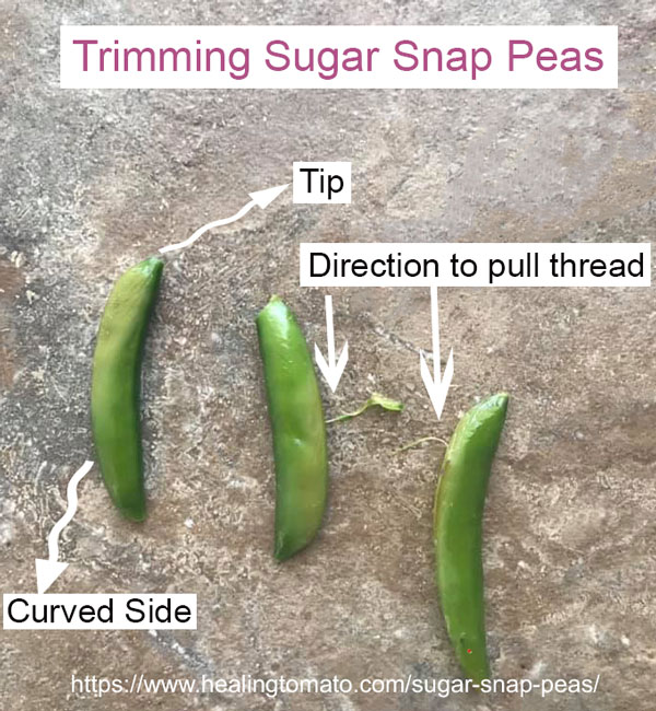 Image of 3 sugar snap peas showing the sides and tip. 2 have been partially trimmed with arrows pointing in the direction of pulling the thread