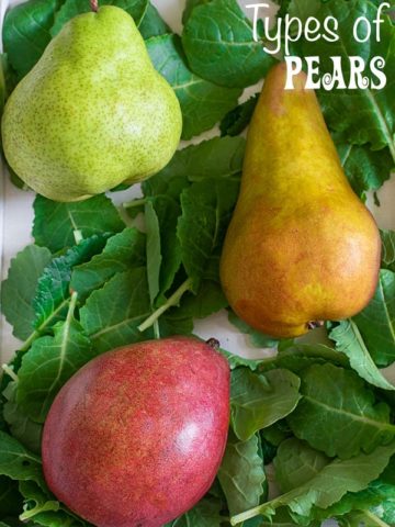 Top view of 3 types of pears (anjou, bartlett and bosc) over kale leaves in a white tray