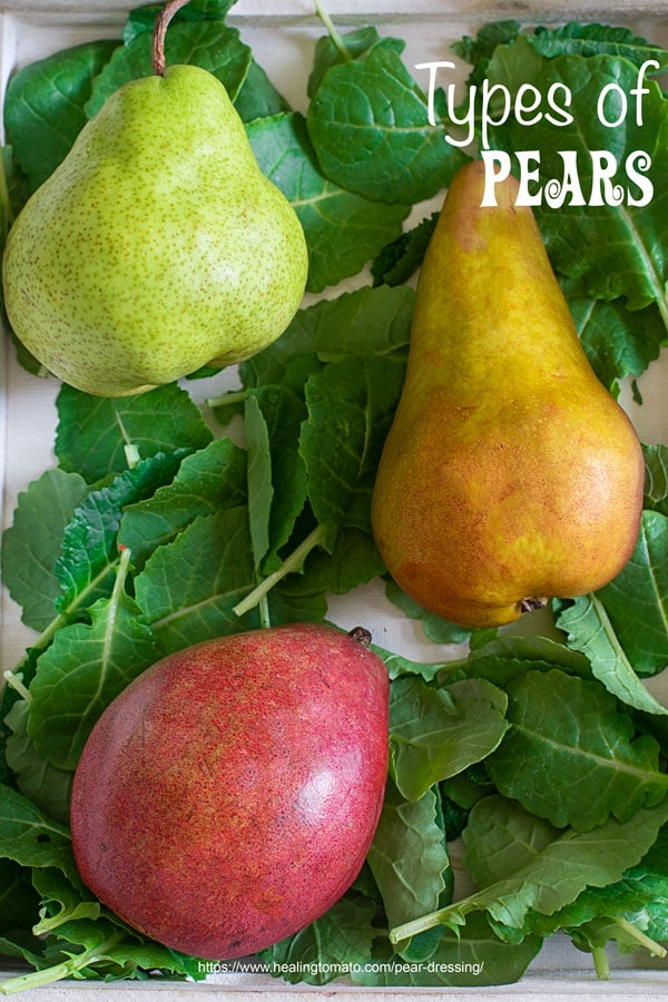 Top view of 3 types of pears (anjou, bartlett and bosc) over kale leaves in a white tray
