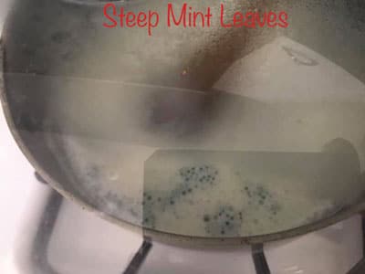 Mint leaves steeping in milk
