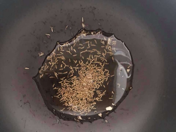 top view of cumin in oil in a frying pan
