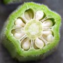 Closeup and crossection of an okra with fuzz visible