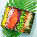 Top view of a rectangle metal tray on a long palm leaf. Metal tray has the following ingredients arranged in a row: shredded mango, radishes, potatoasts, red cabbage kraut, edamame, chickpea snack, riced cauliflower and seaweed squares