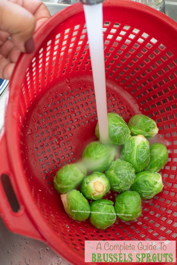 Brussels sprouts in a red colander under running water