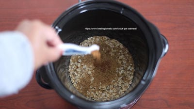 The author's hand are shown adding cinnamon into the crock-pot container