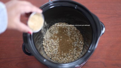The author's hand are shown adding demerara sugar into the crock-pot container