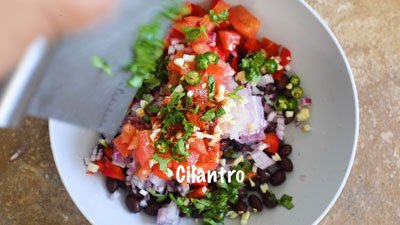 Chopped cilantro added in the grey bowl