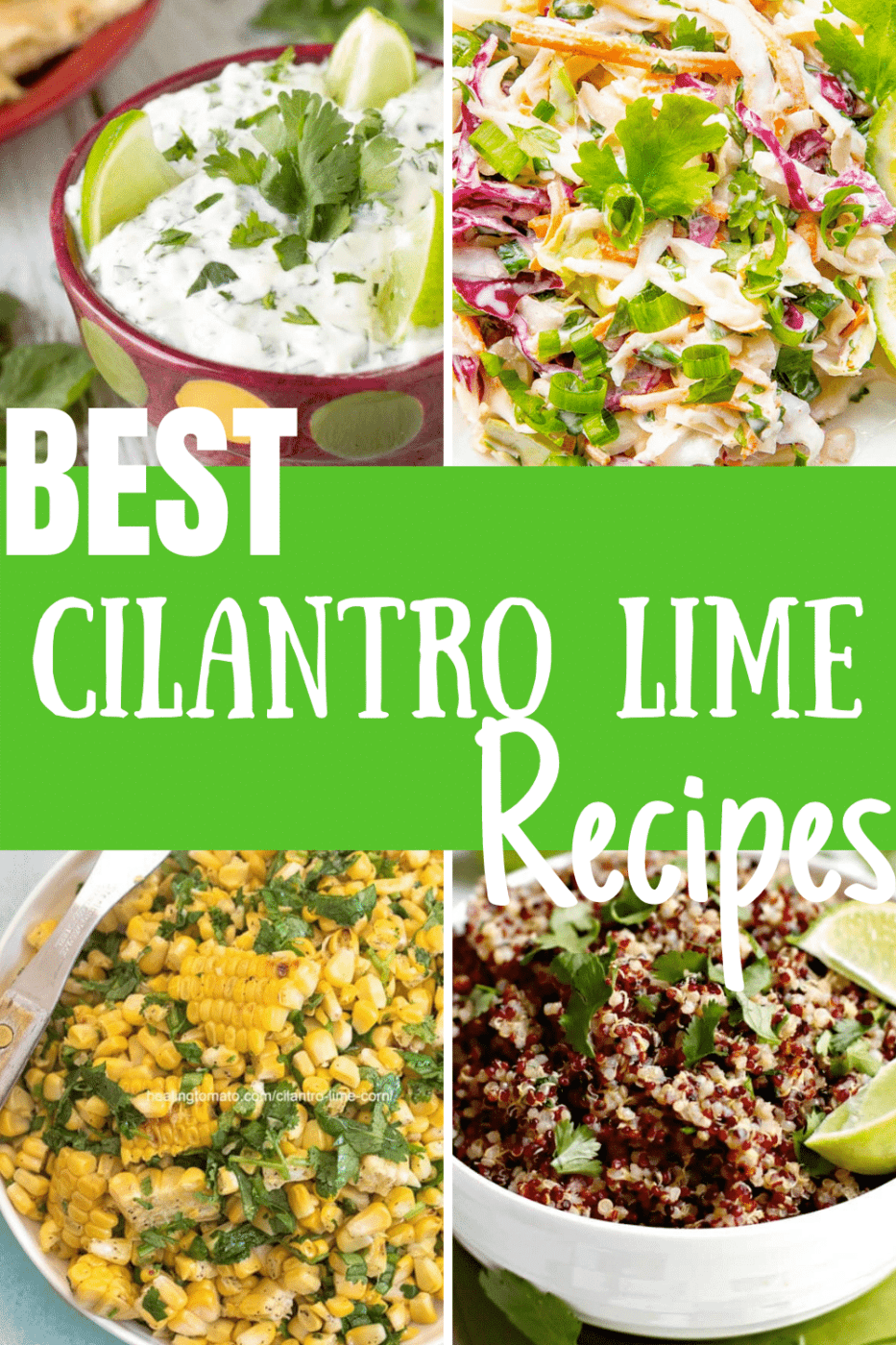 A collage of 4 images arranged in a grid and the words "BEST Cilantro Lime Recipes" printed on top