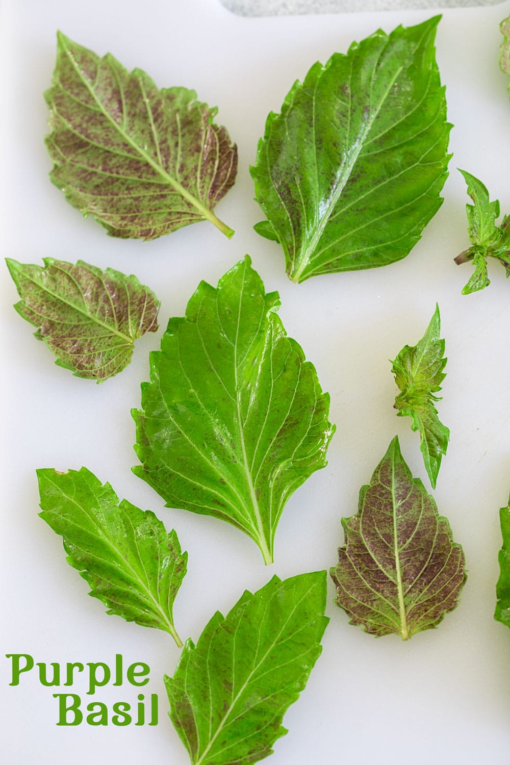 Top view of several greenish-purplish basil on a white chopping board