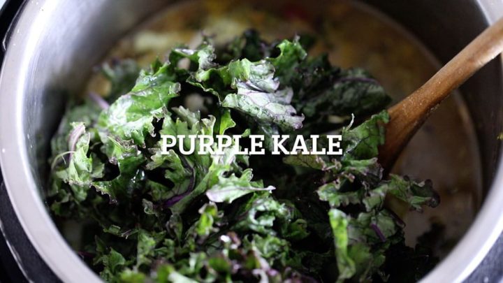 Purple kale put into the instant pot. 