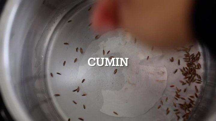 Cumin seeds being added to the instant pot