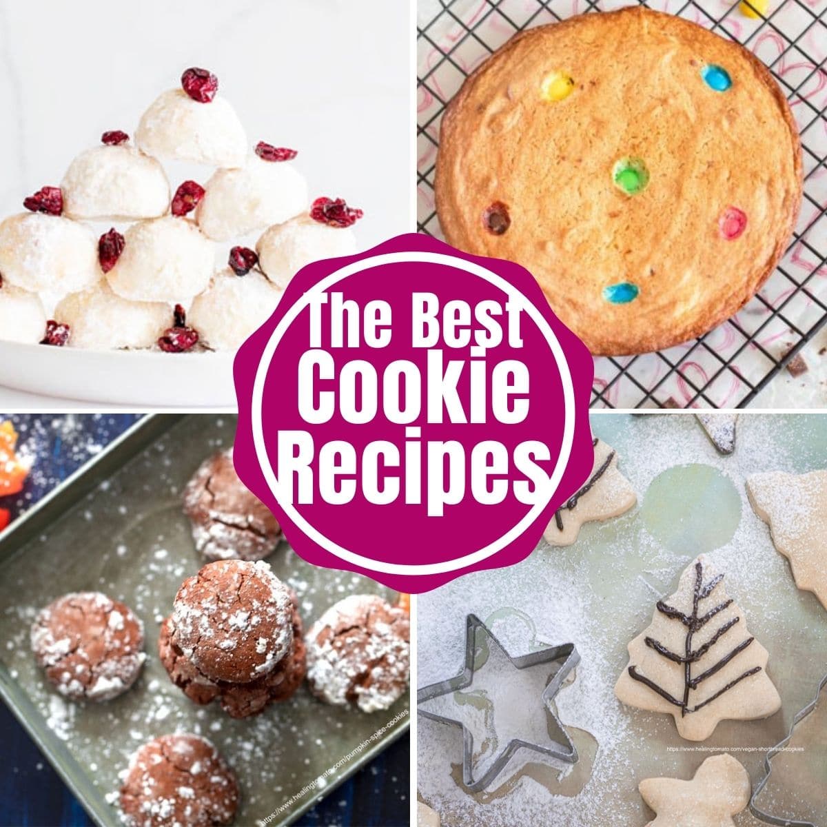 A collage of 4 vegan cookies recipe images with the words "The Best Vegan Cookies" written on it