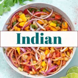 The BEST Indian Food Recipes