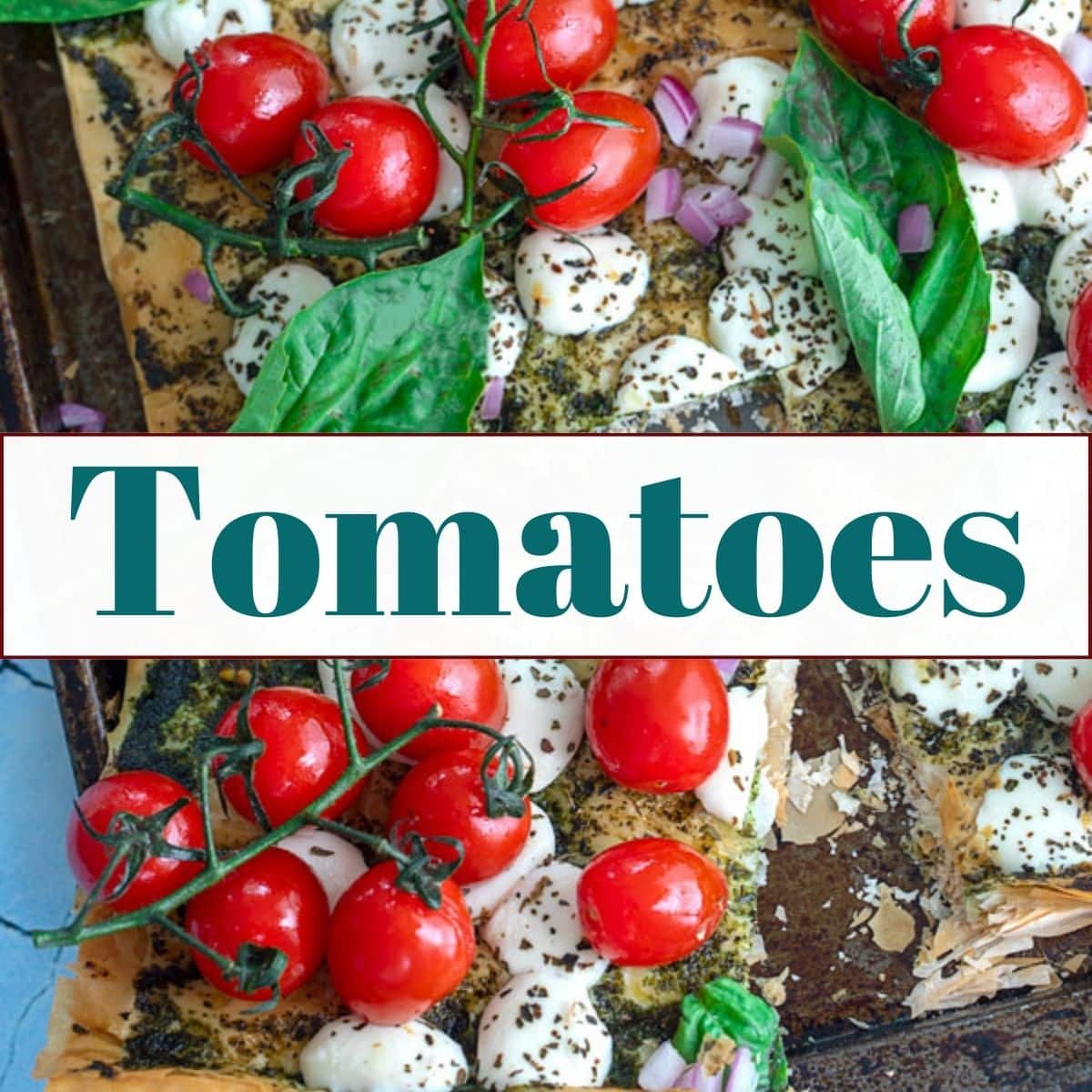 Top view of a tomato tart in the background and the title "Tomtaoes"