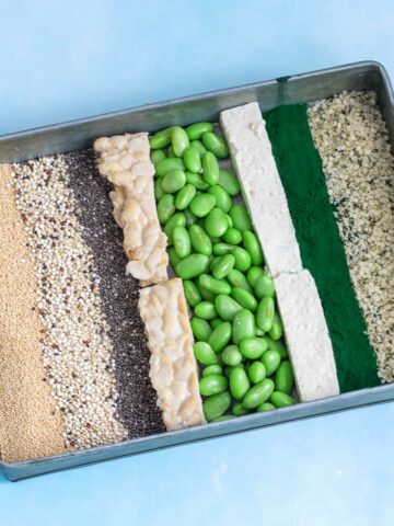 Top view of 8 vegan complete sources arranged in a grey tray