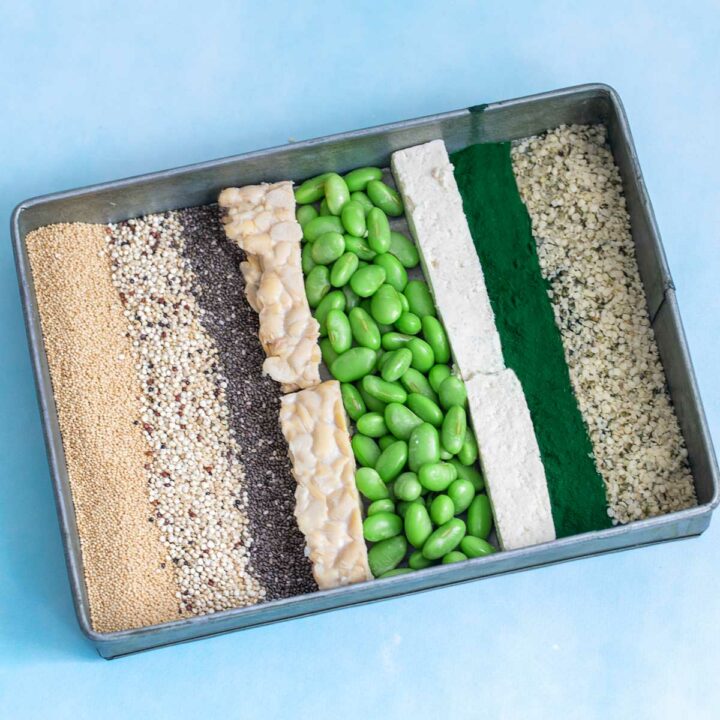 Top view of 8 vegan complete sources arranged in a grey tray