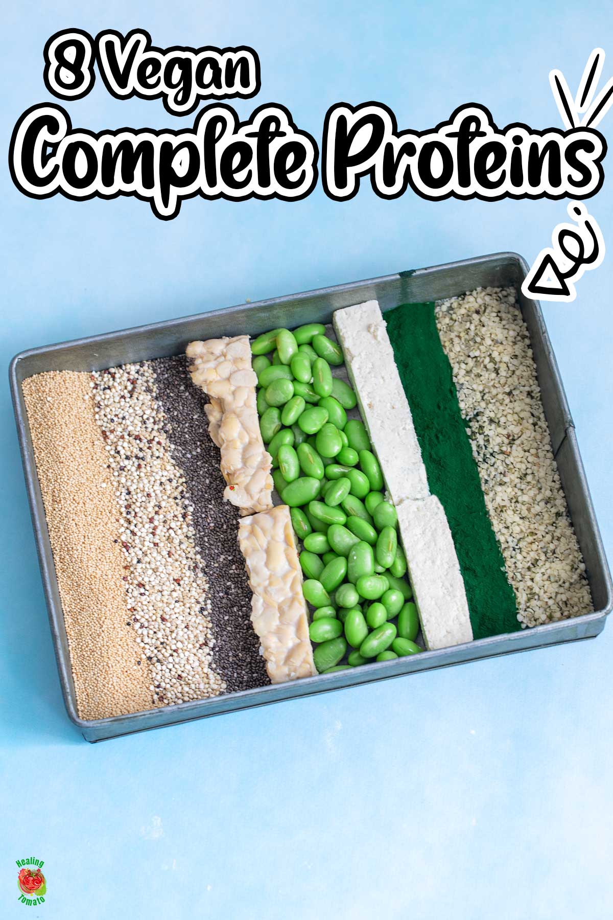 Top view of 8 vegan complete sources arranged in a grey tray