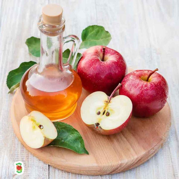 Front view of a glass bottle with apple cider vinegar surrounded by apples and placed on a round wooden chopping board.